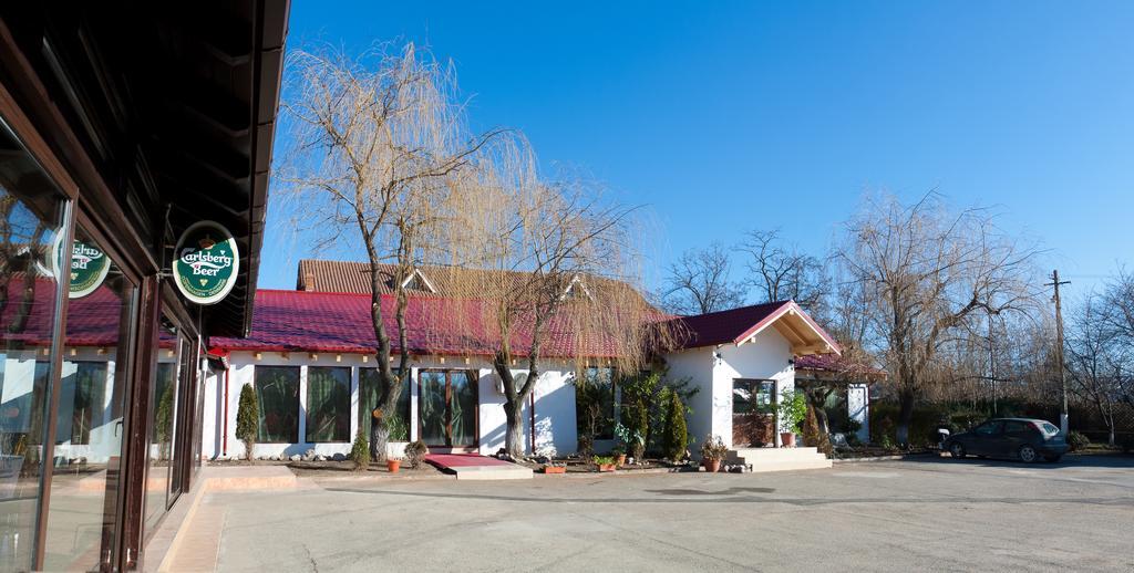 Pension Club Montana Câmpina Exterior foto