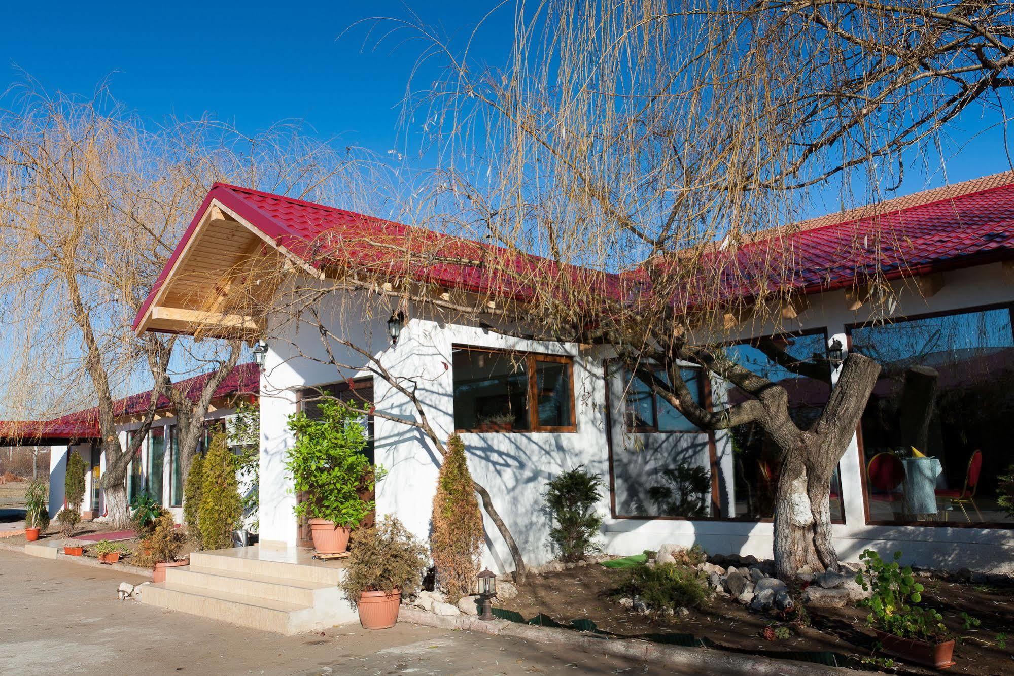 Pension Club Montana Câmpina Exterior foto